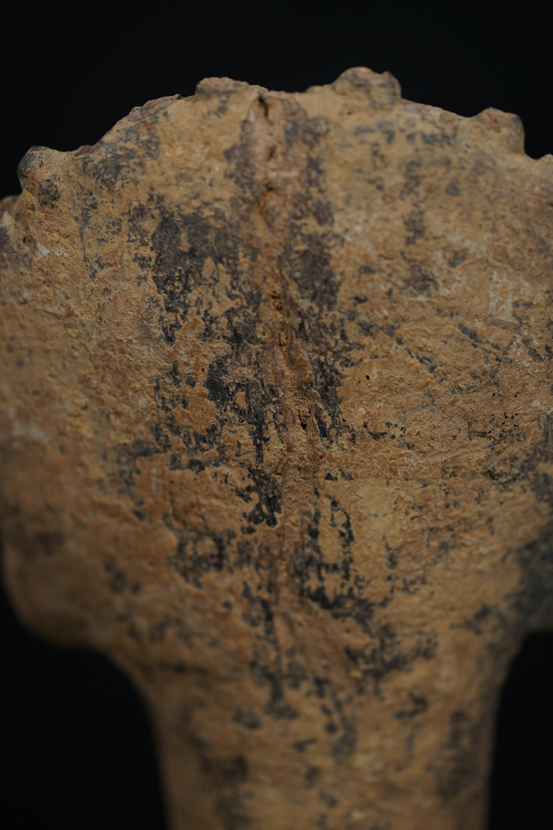 FSB09656