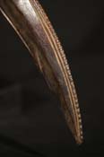 FSB00969