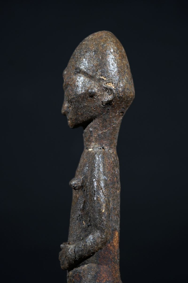 FSB00279
