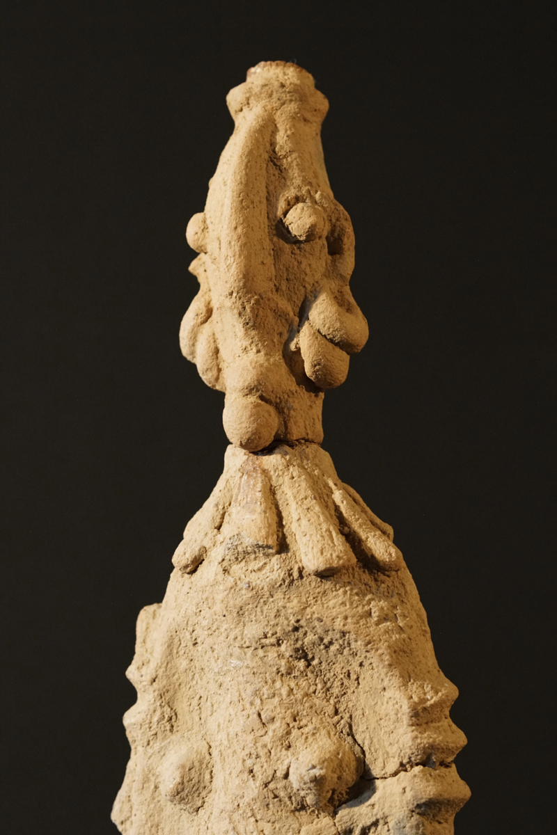 GSC08237