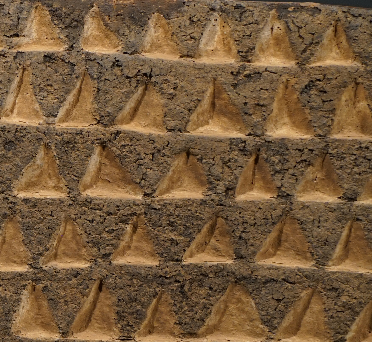 GSC09060