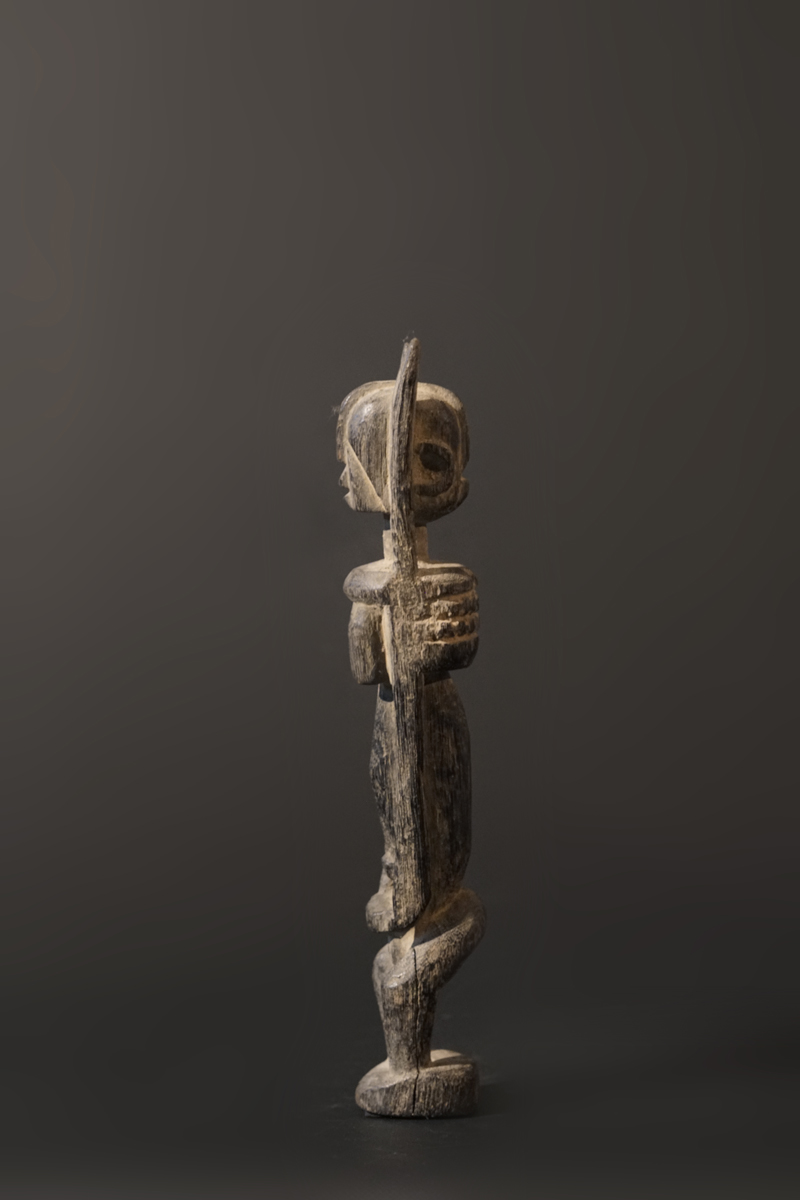 GSC01424