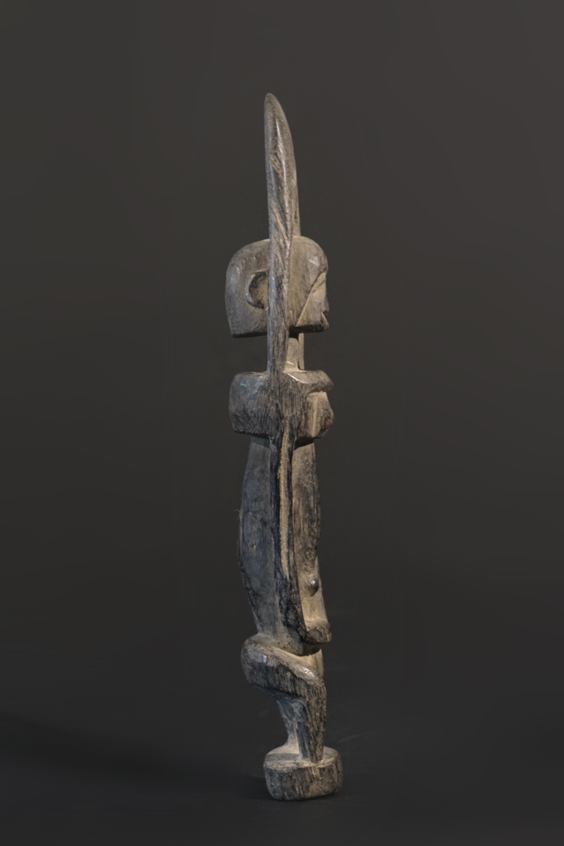GSC01519