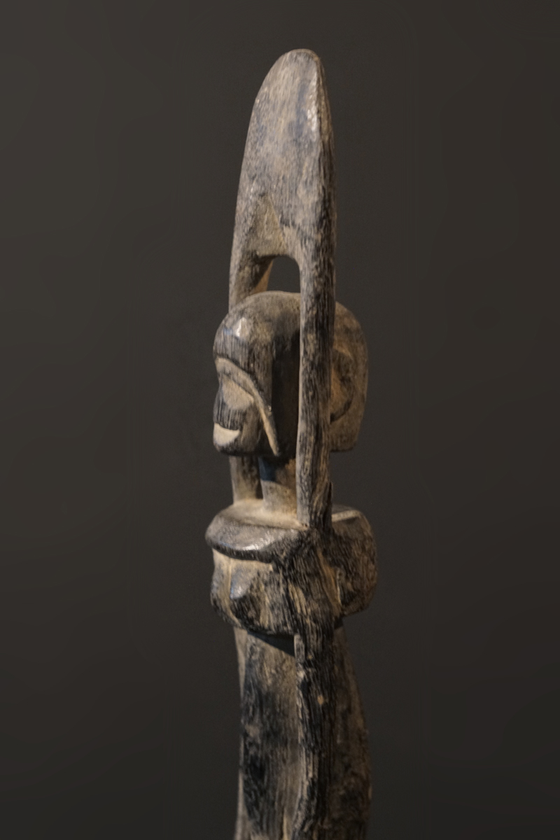 GSC01539