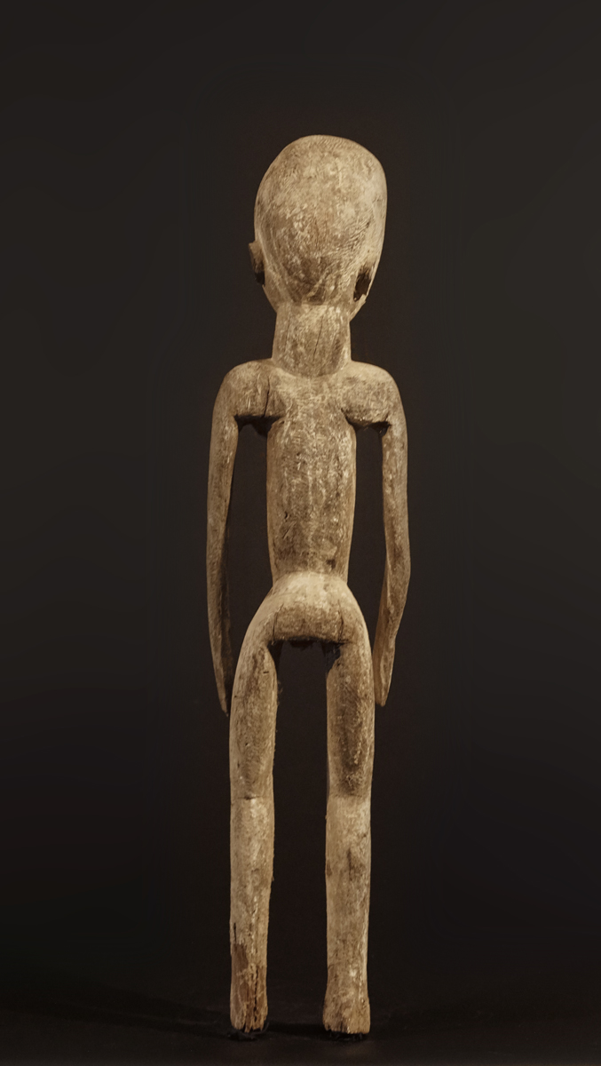 GSC01904