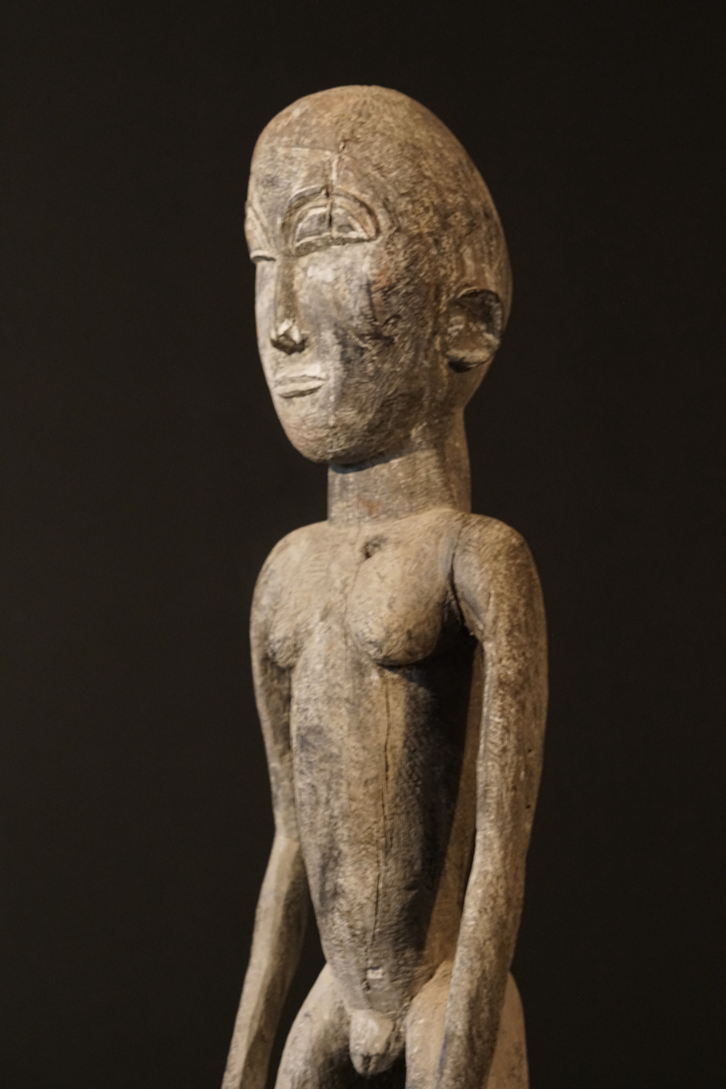 GSC01909