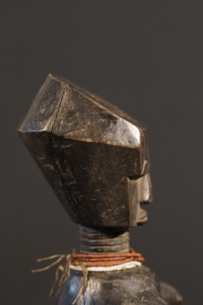 GSC02229