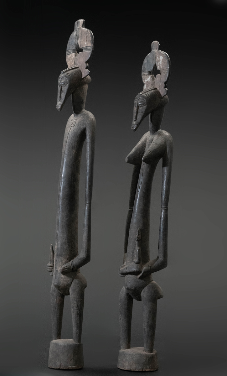 GSC00232