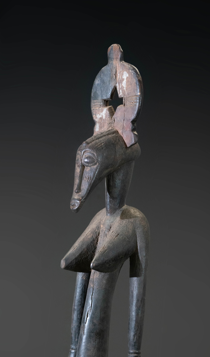 GSC00310