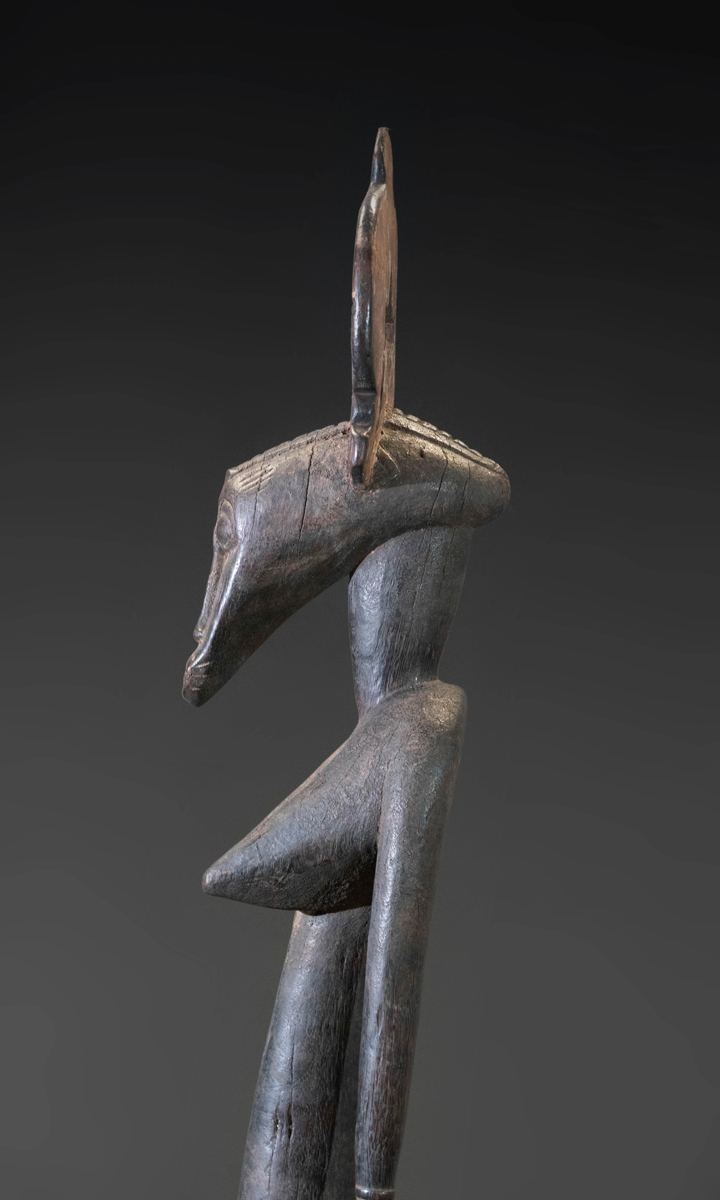GSC00315