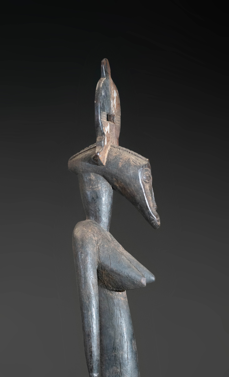 GSC00335