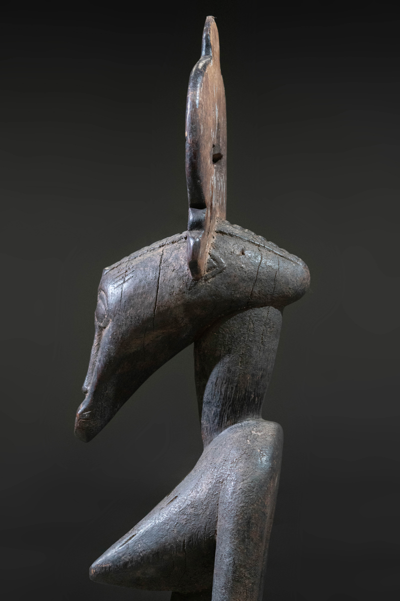 GSC00355