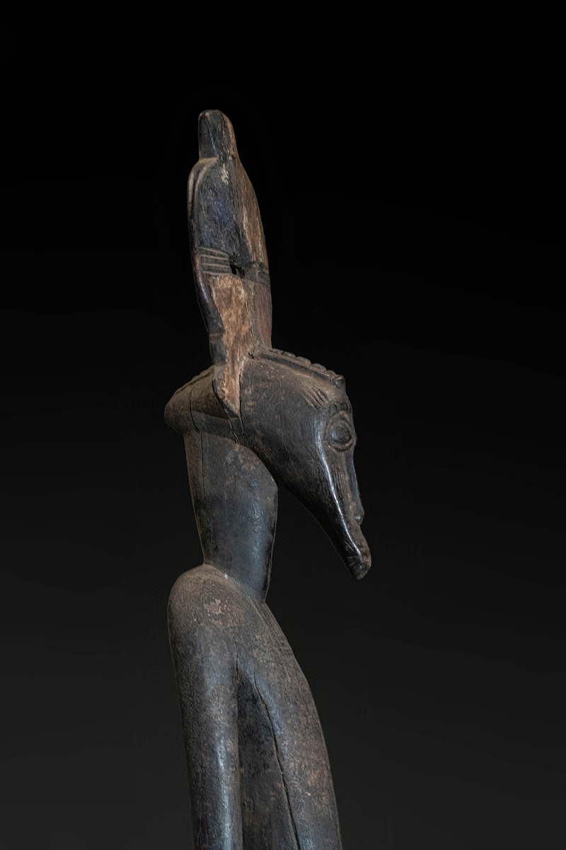 GSC00472