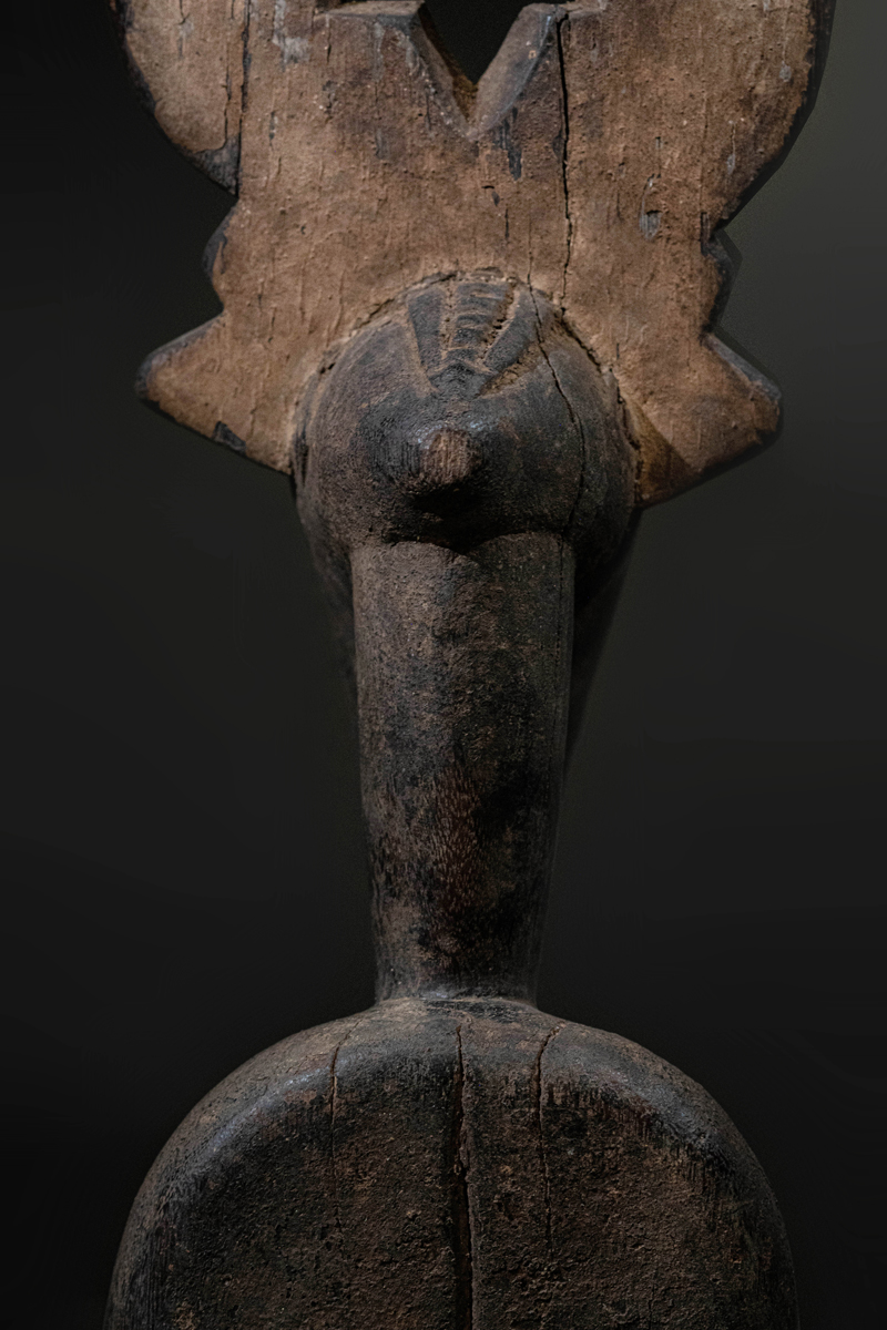 GSC00507