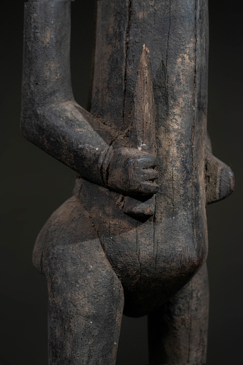 GSC00545