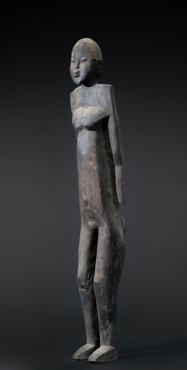 GSC00650
