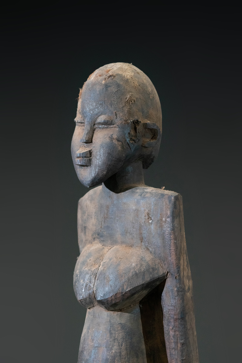 GSC00685