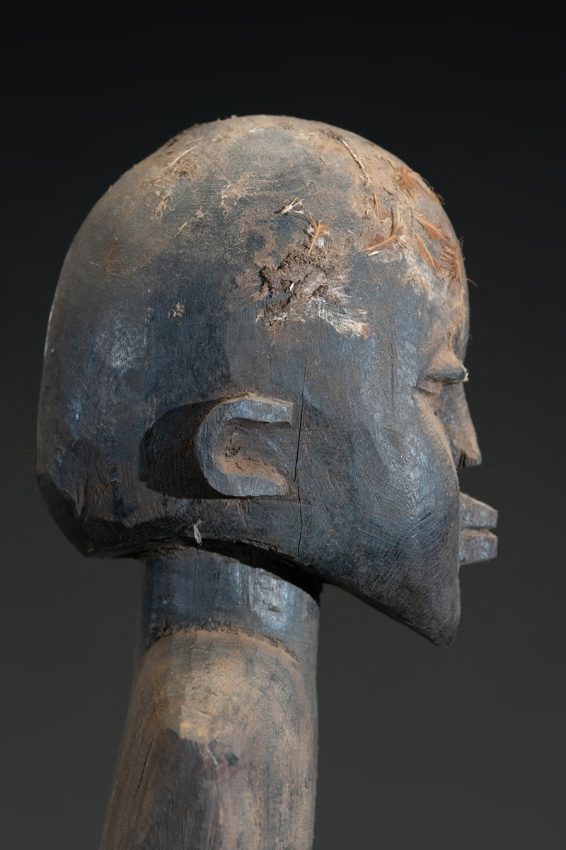 GSC00727