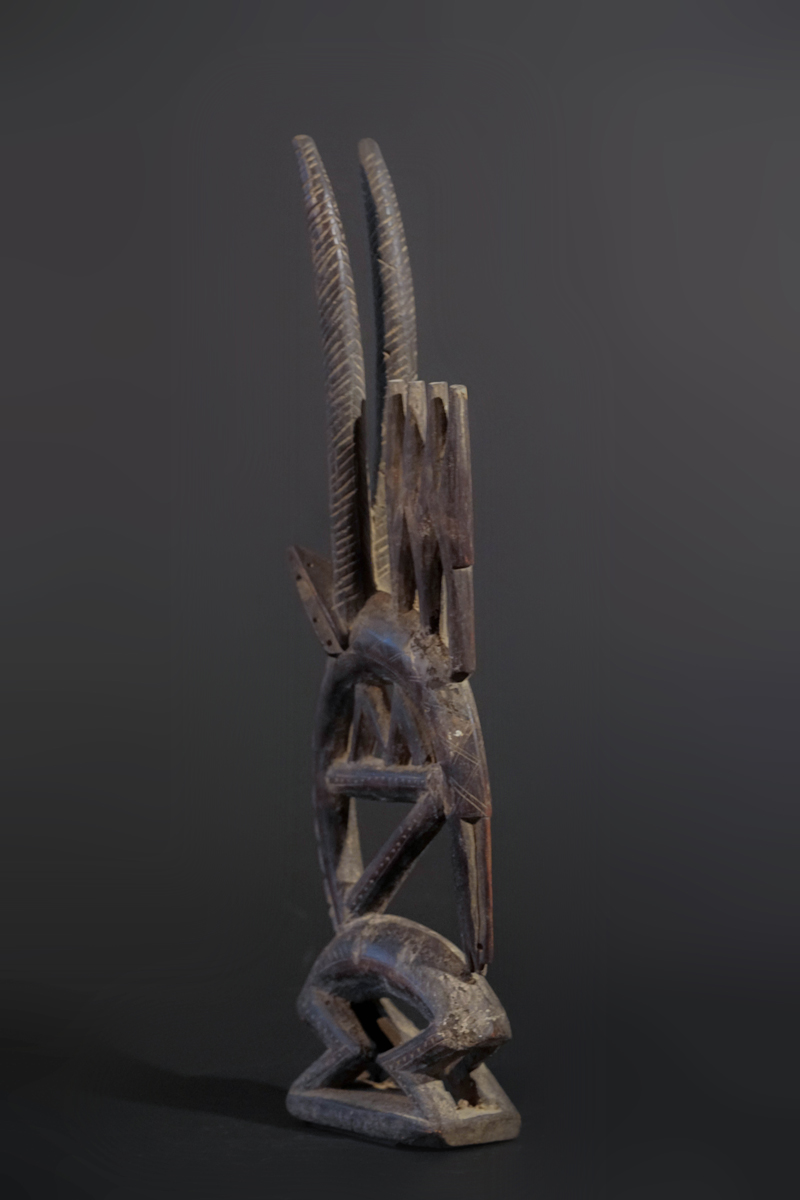 GSC03058
