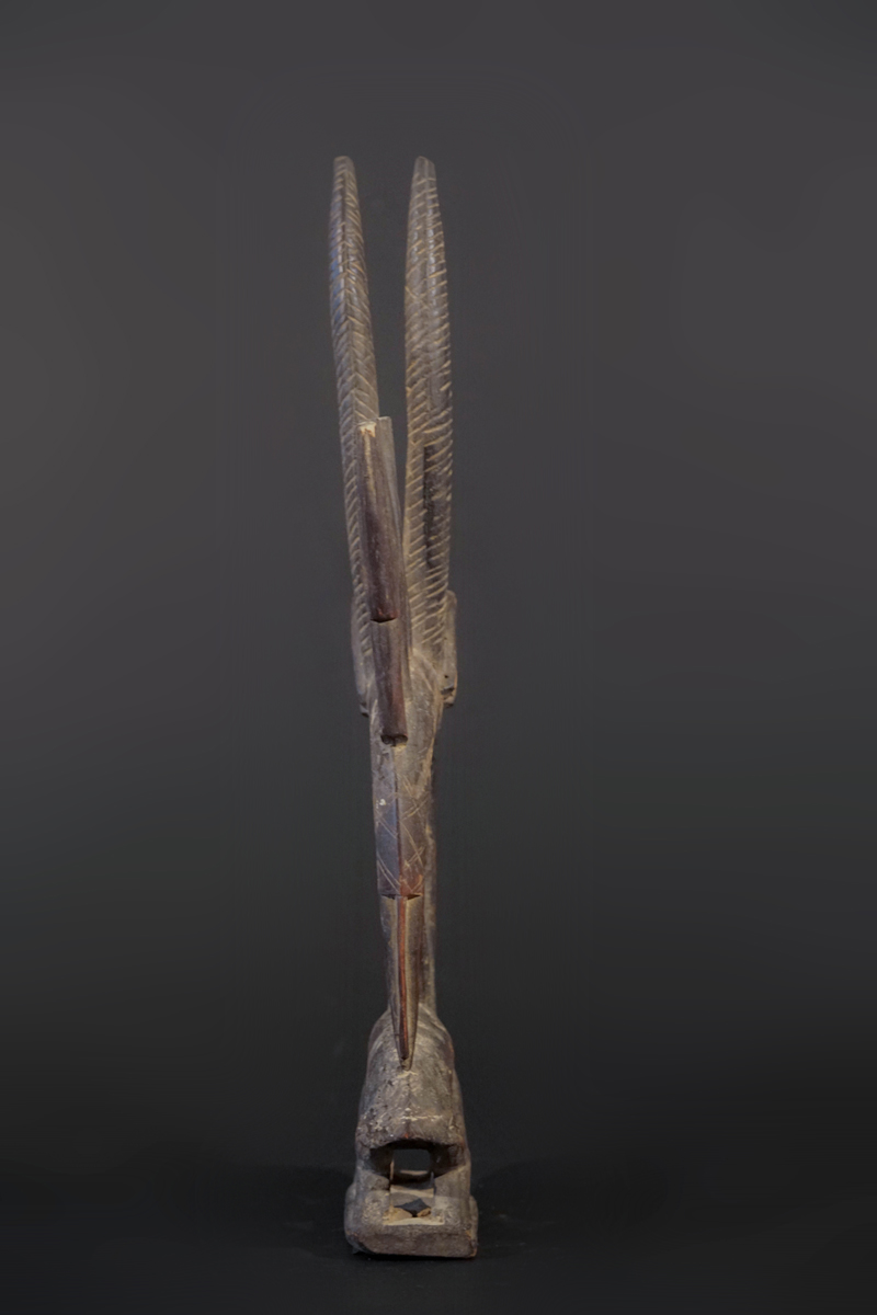GSC03063