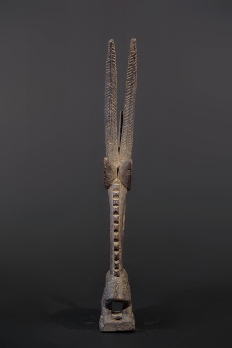 GSC03068