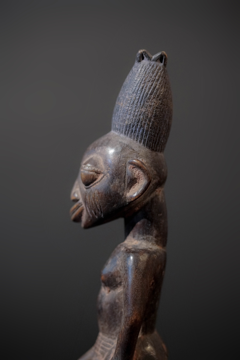GSC08954