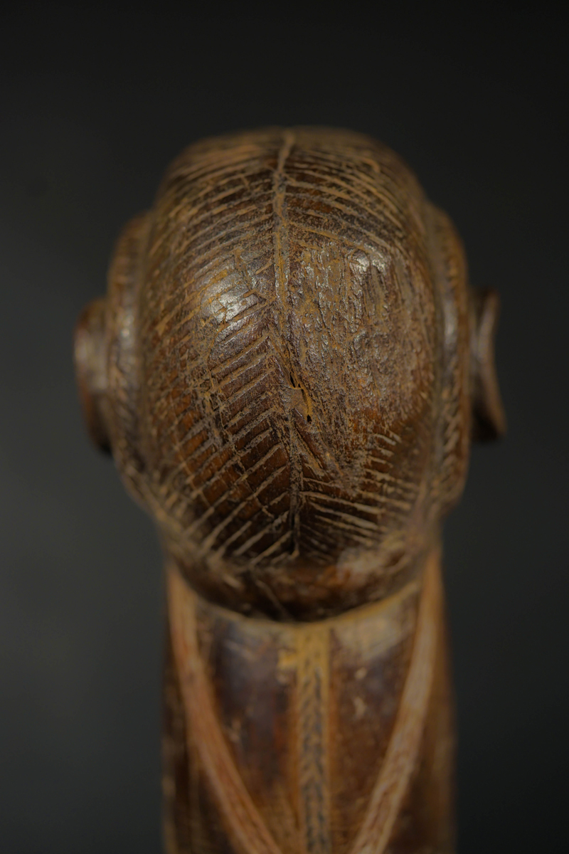 FXB01916-2