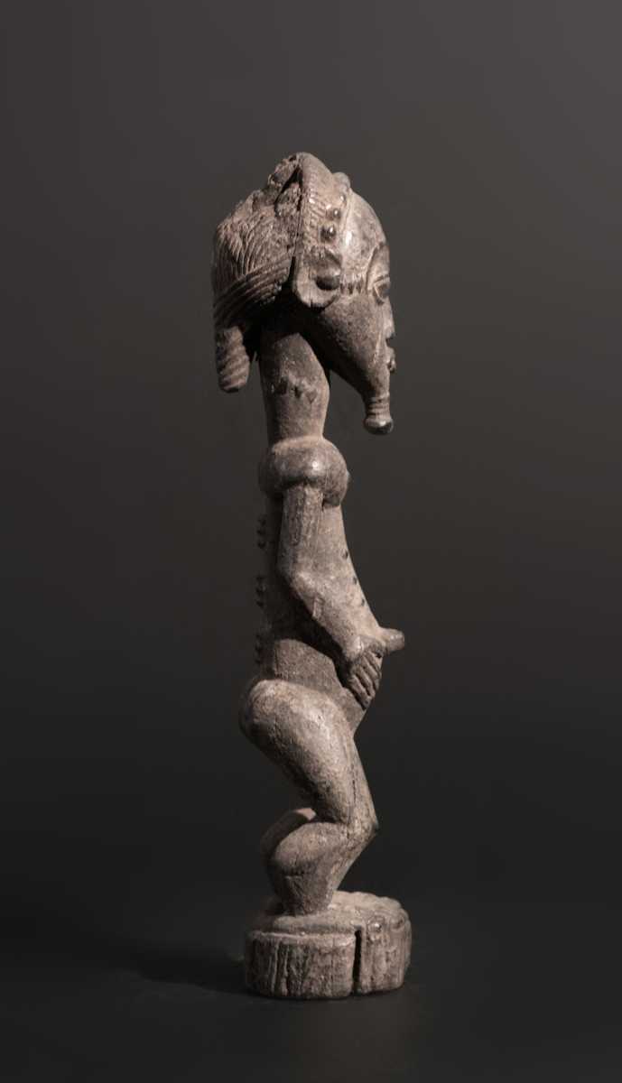 GSC09882