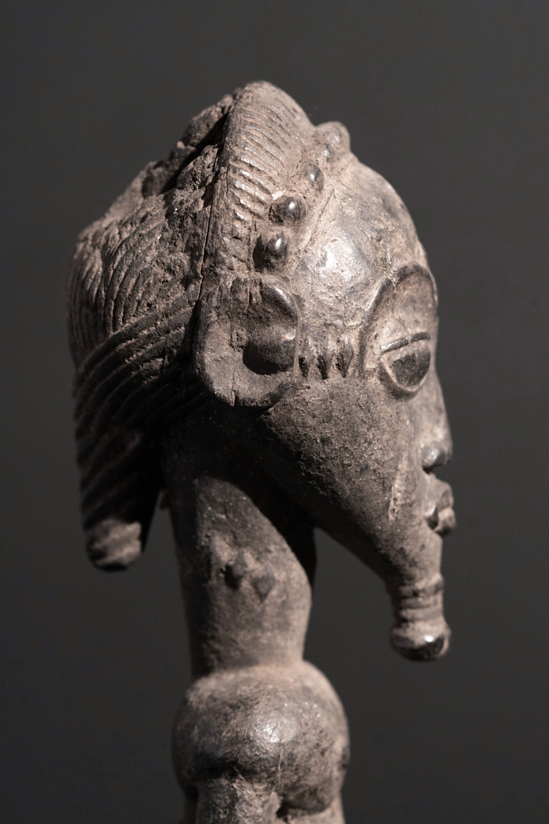 GSC09941