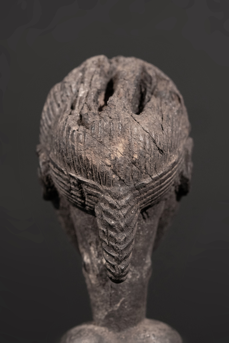 GSC09956