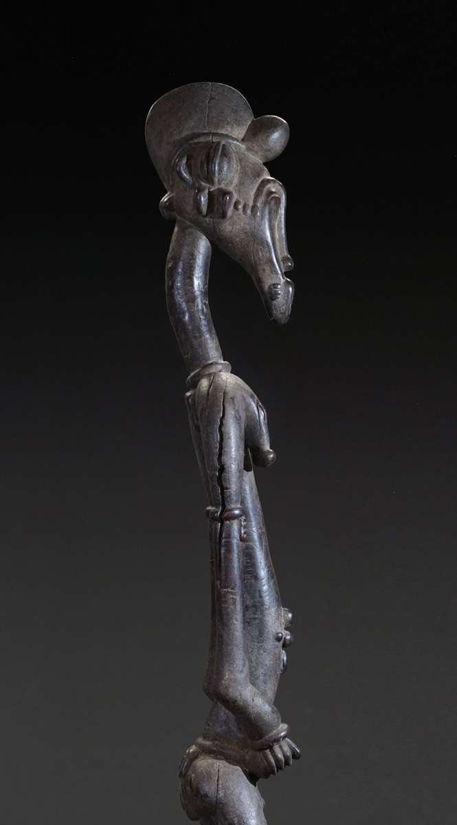 GSC00879