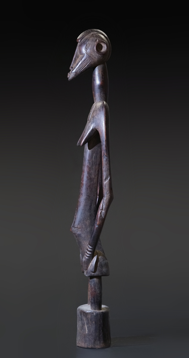 GSC01183