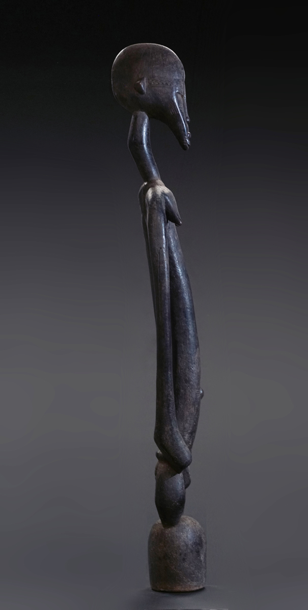 GSC01453