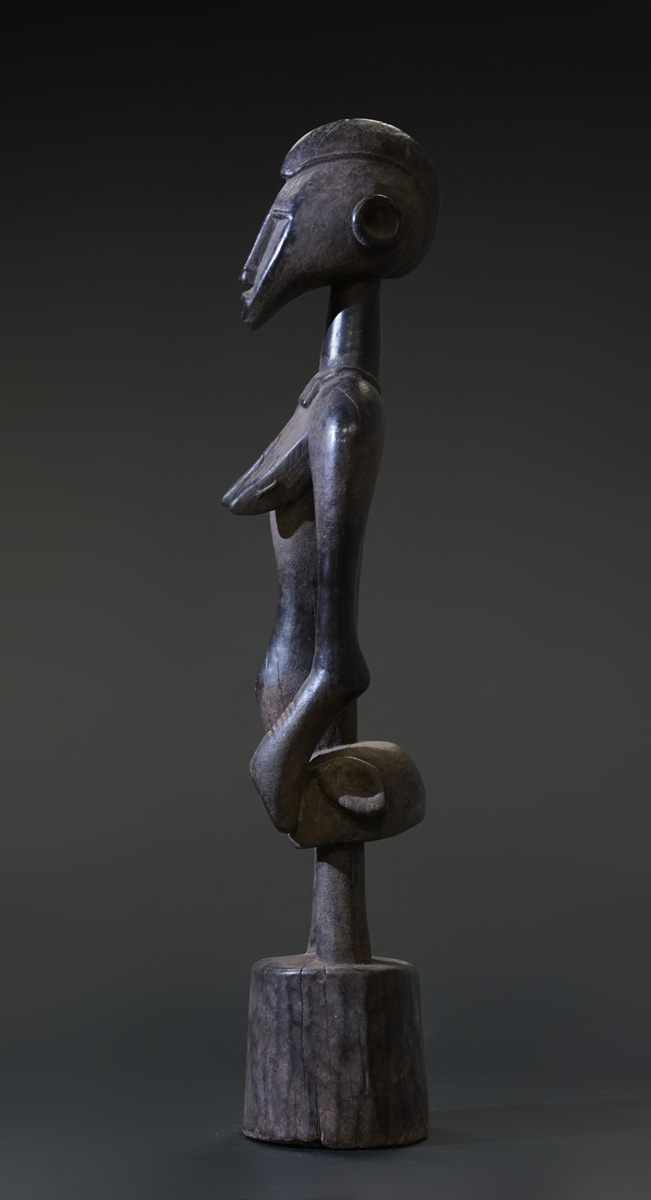 GSC01900