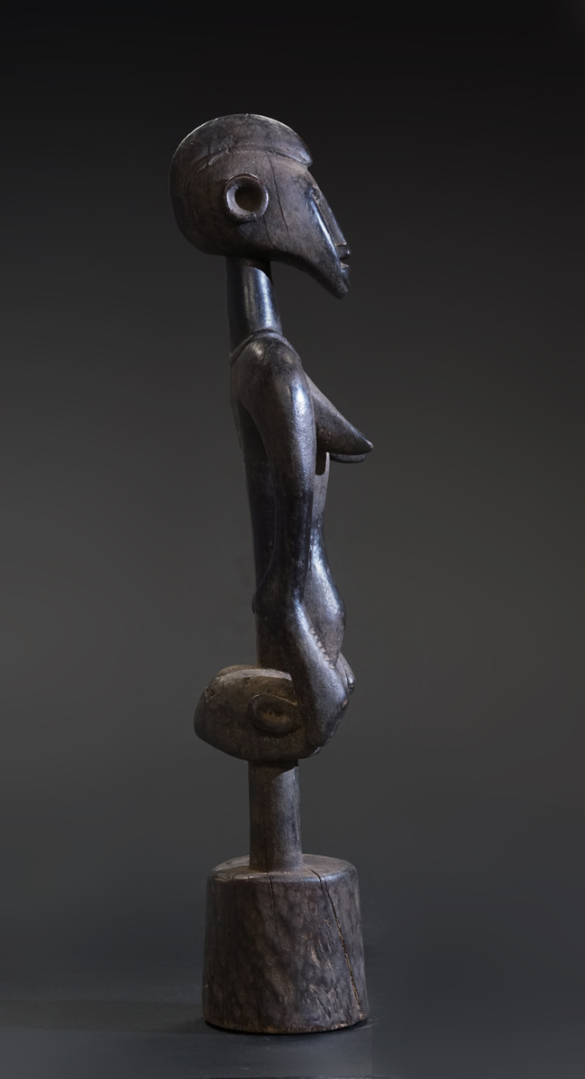 GSC01905