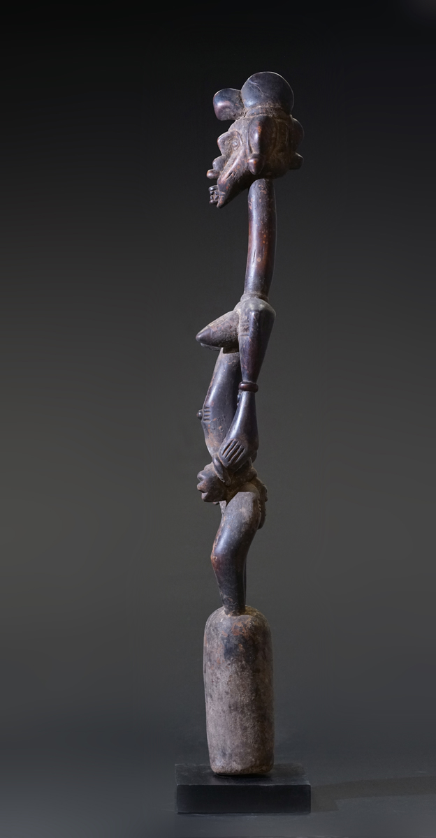GSC02317