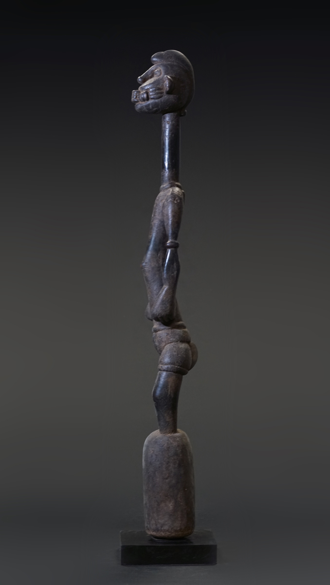 GSC02411