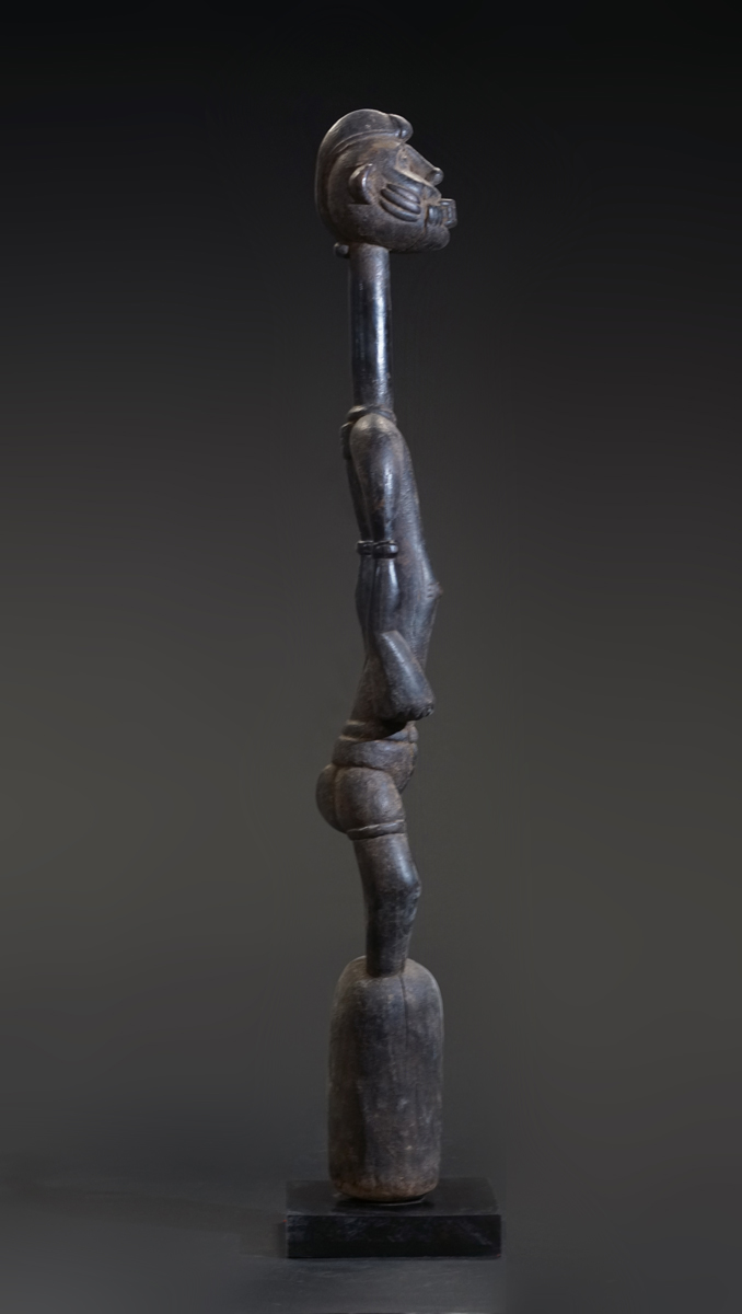 GSC02416