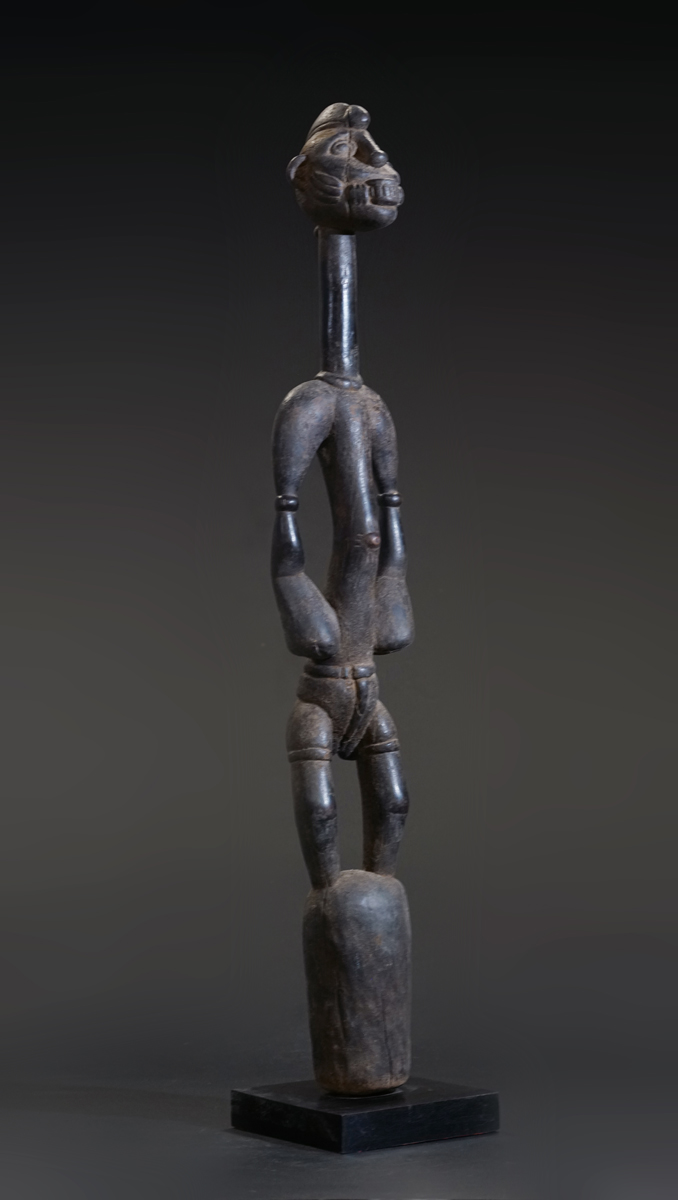 GSC02421