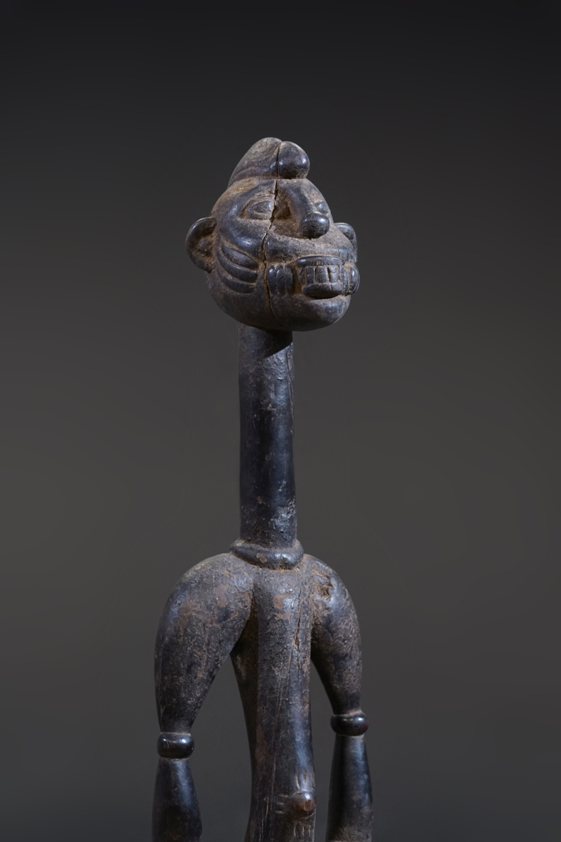 GSC02456