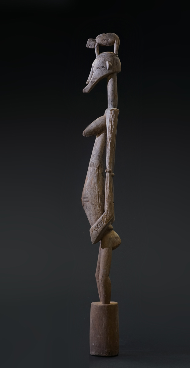 GSC02616