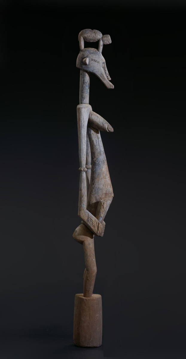 GSC02619