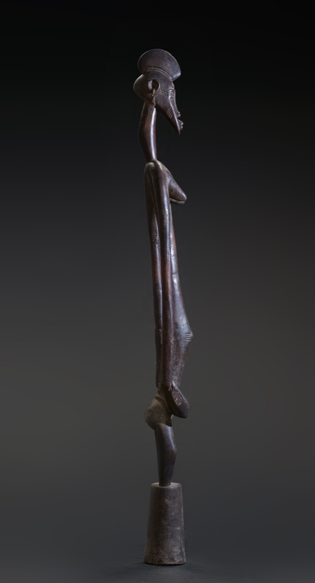 GSC02718