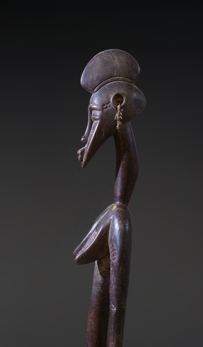 GSC02742