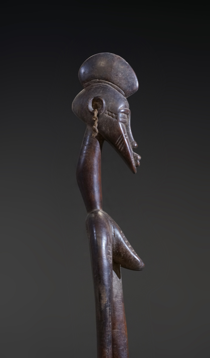 GSC02749