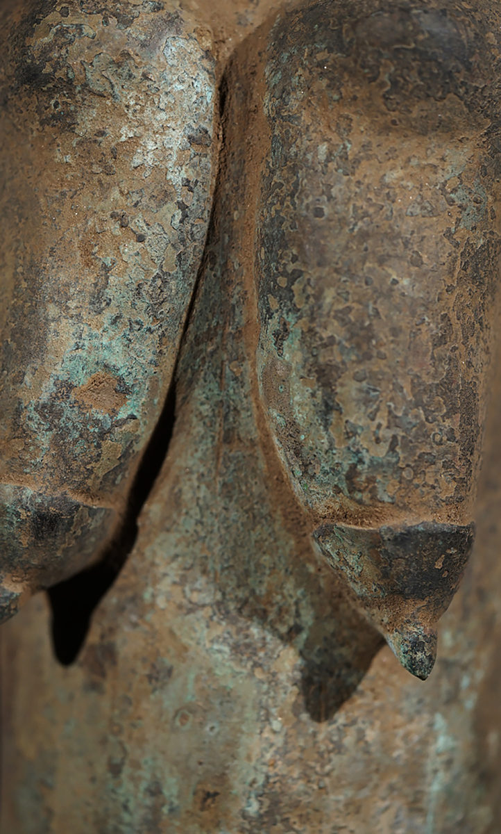 FXG01489