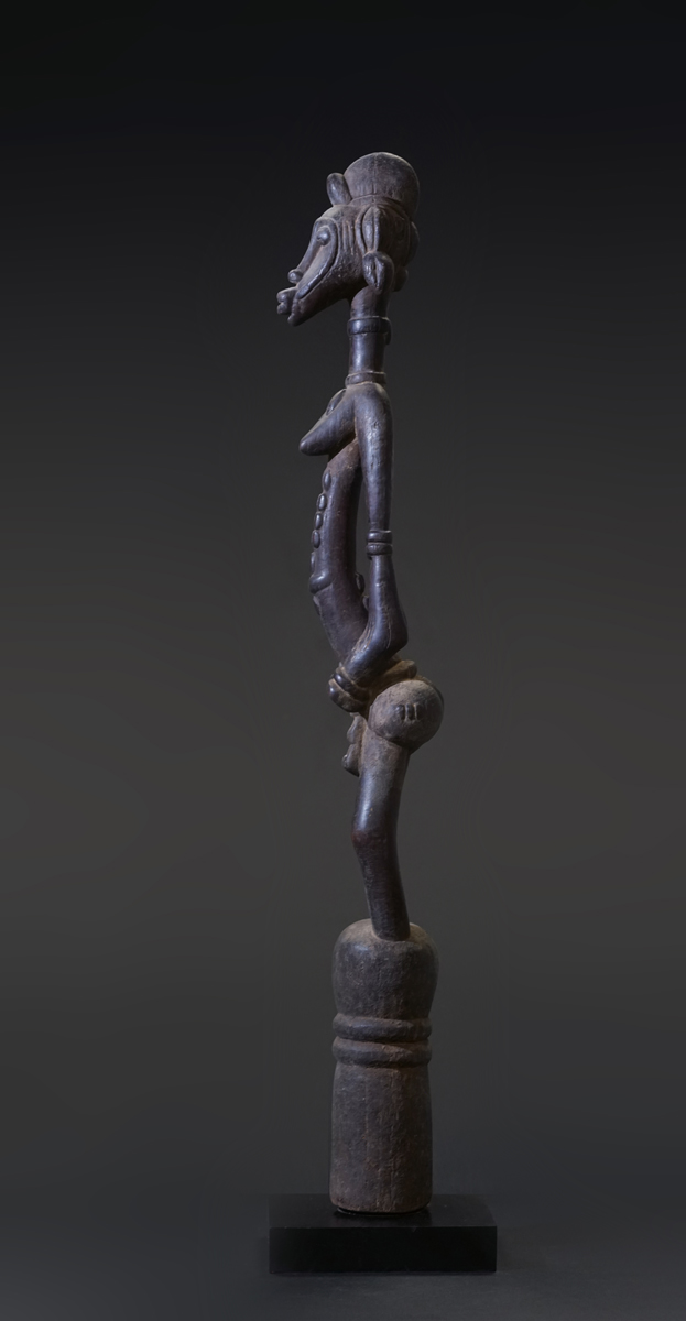 GSC02808