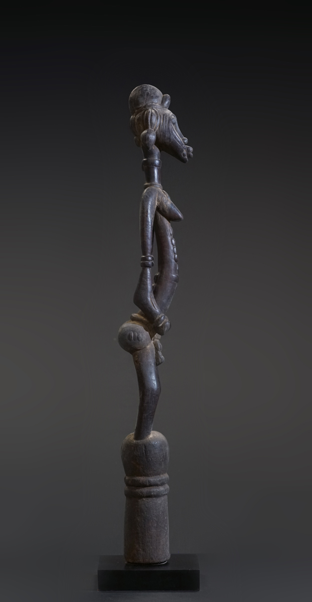 GSC02813