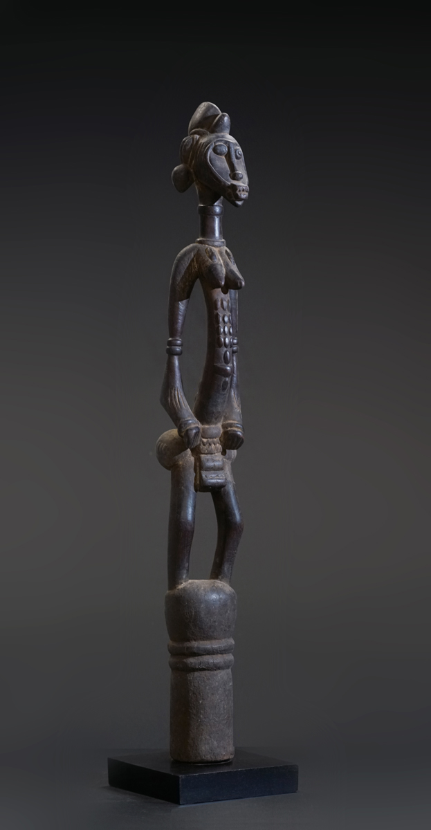 GSC02818