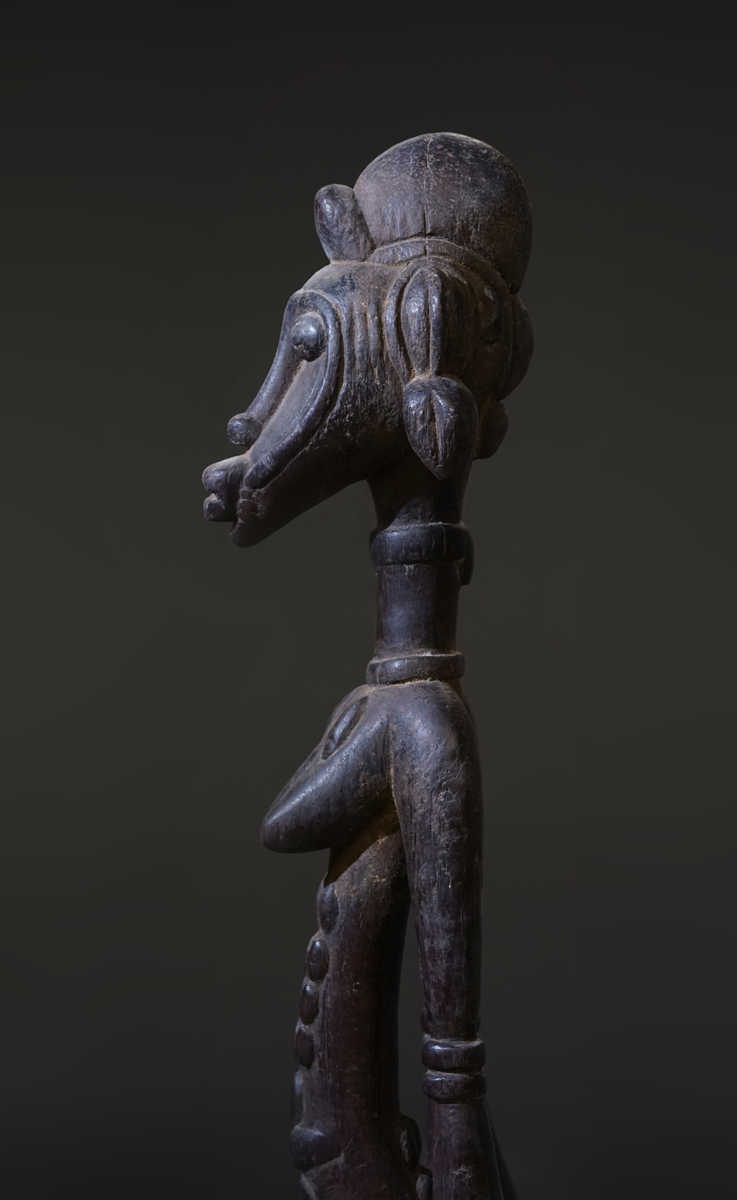 GSC02837